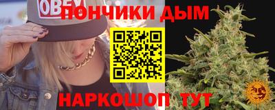 МДПВ Гатчина
