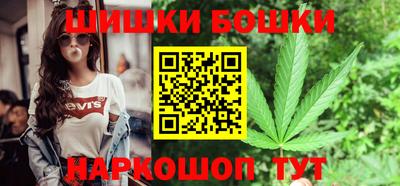 МДПВ Гатчина