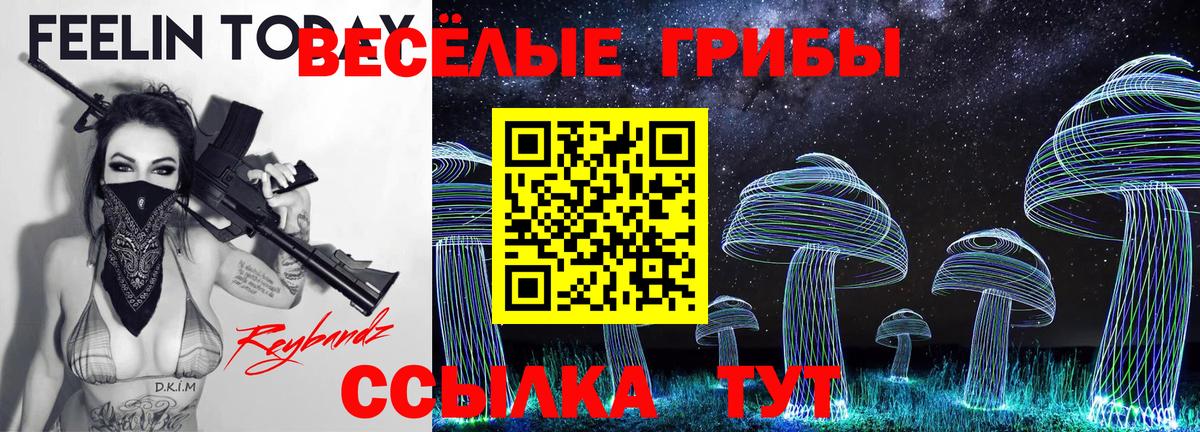 Псилоцибиновые грибы мухоморы Норильск