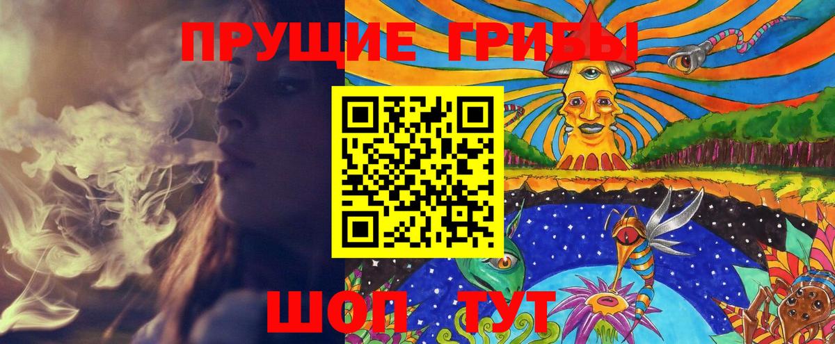 Галлюциногенные грибы Psilocybe  Вход с VPN  Норильск  Псилоцибиновые грибы мицелий 